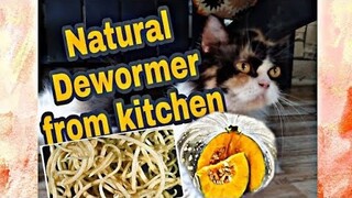 SQUASH SEEDS DEWORMER FOR CATS AND DOGS| NATURAL DEWORMER