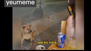 khi bạn nhậu quá 180p