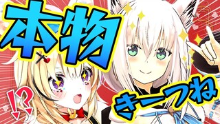 【ポルカの伝説】五月病を吹き飛ばす白上プロ