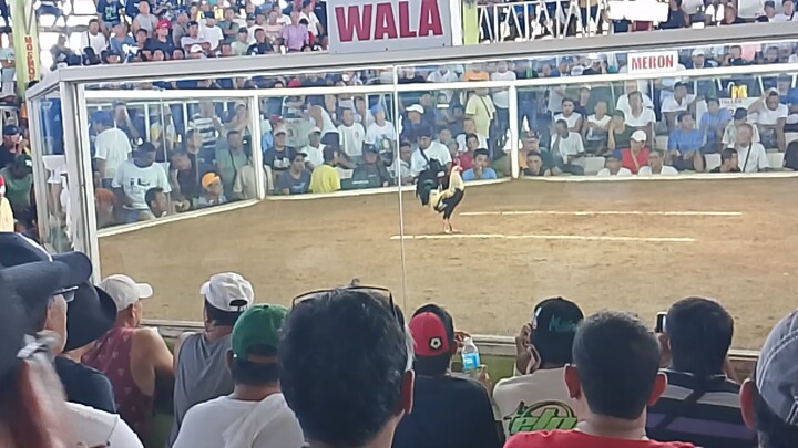 2hits ulutan balagtas cockpit...2xwinner gray