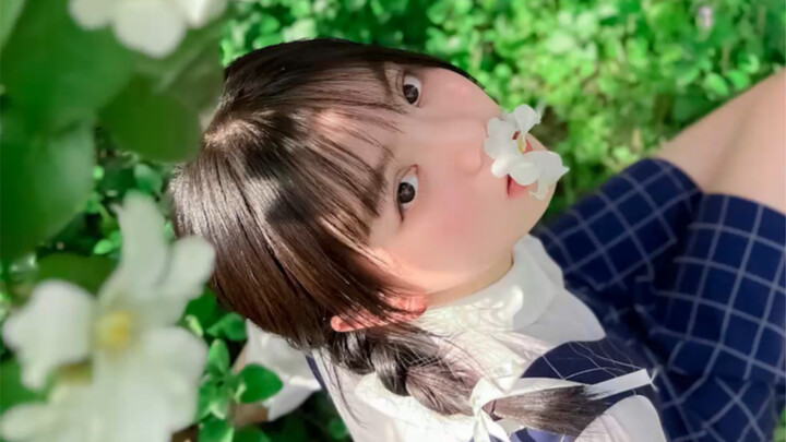 纯洁的山茶花，山茶花拍照技巧，祝大家三八妇女节快乐