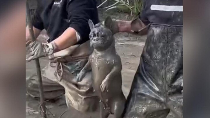 انتهى الأمر، لقد ضاعت حسنات اليوم مرة أخرى بسبب الضحك!!! #68