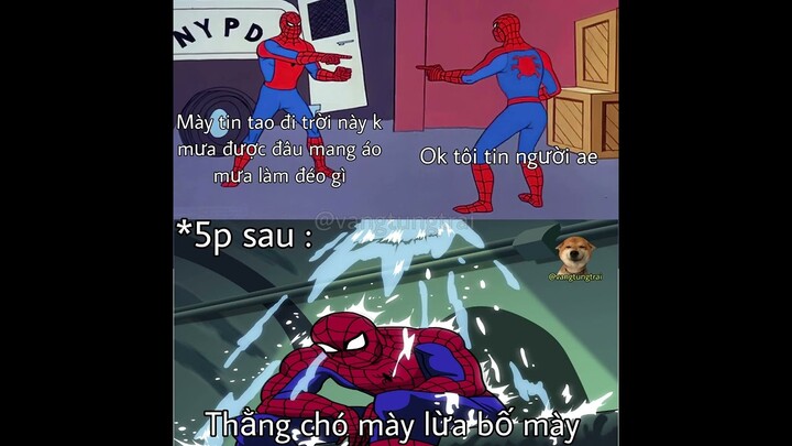 Tổng hợp meme thừa muối cực mặn #12.