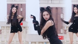 โดนต่อยคงร้องไห้ยาวเลย ฅ^._.^ฅ~ ⚡Ding Ding Dang Dang Dance⚡