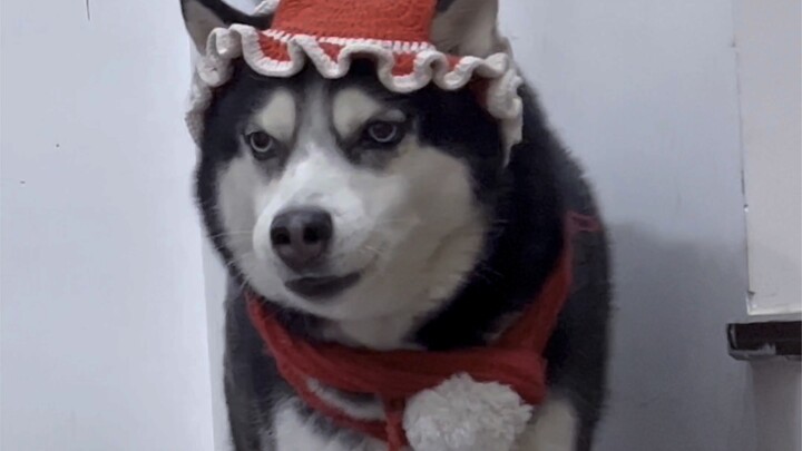 في عيد الربيع الكبير! وكنتِ هالكِ سريري للأسف!