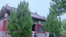 Thần Sứ Đại Nhân Của Ta EP 12 [Sub Việt]