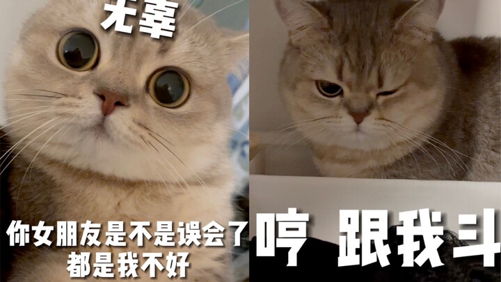 Pakai wajah paling imut sambil ngomong hal paling nyebelin! Hari ini aku adalah sebutir telur teh!