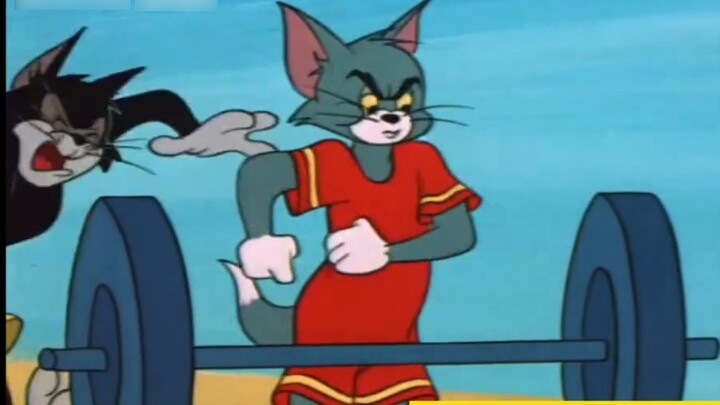 ⚡️คุณเคยได้ยินไหมว่าคุณไม่ได้รับอนุญาตให้เข้าร่วมการประชุมกีฬาของโรงเรียนในฐานะน้องใหม่!