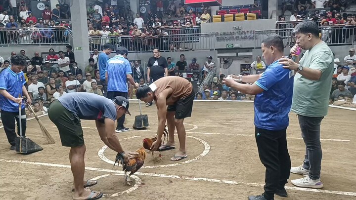 Delmonte cockpit arena 1st fyt 🏆🏆🏆