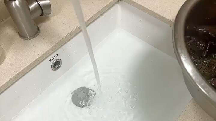 Đang tắm cho các bé thú cưng của mình đây!