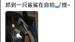 ممنوع الدمية الروسية