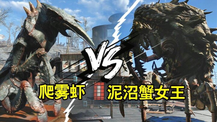 【辐射斗兽场】爬雾虾 VS 泥沼蟹女王