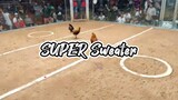 Feb 22, 2024 Super Sweater Kalaban Para Champion