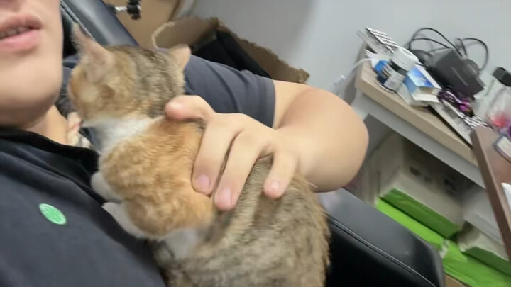 لقد مر وقت طويل منذ أن شاهدت المنشورات، أليس كذلك؟