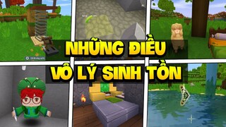 MINI WORLD: NHỮNG ĐIỀU VÔ LÝ TRONG GAME BẠN CHƯA BIẾT ?