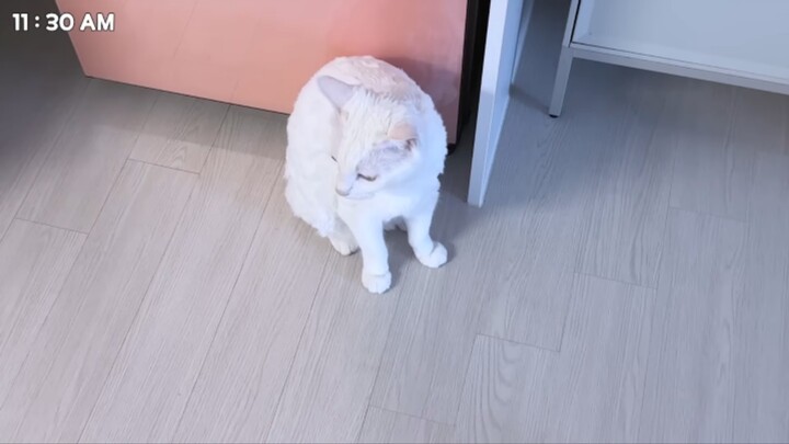 瑜伽初体验~