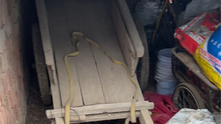 This old antique probably hasn't been seen by anyone born after 2000.