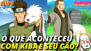 SAIBA O QUE ACONTECEU COM KIBA INUZUKA E AKAMARU EM BORUTO - GUIA COMPLETO