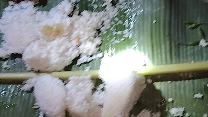 Kamayan sa dahon nang saging kasama ang mga kaibigan kong aeta