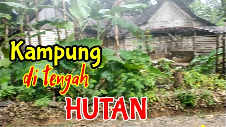 Kampung terpencil di tengah hutan || Bangun Jalan secara Swadaya.