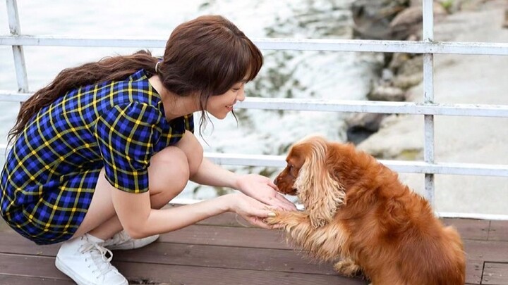 The brain is a great thing—too bad not every dog has one!