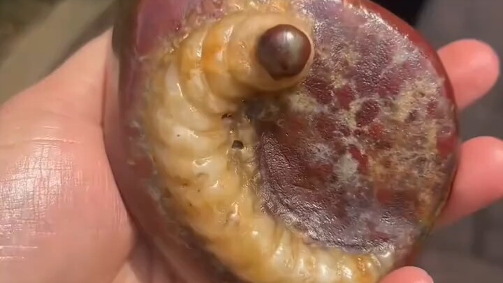 Is this kind of stone worth anything if you find it?
