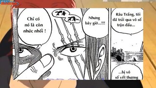 Vết sẹo của Shanks_ Râu Đen sợ Luffy thức tỉnh Trái Gomu Gomu p5