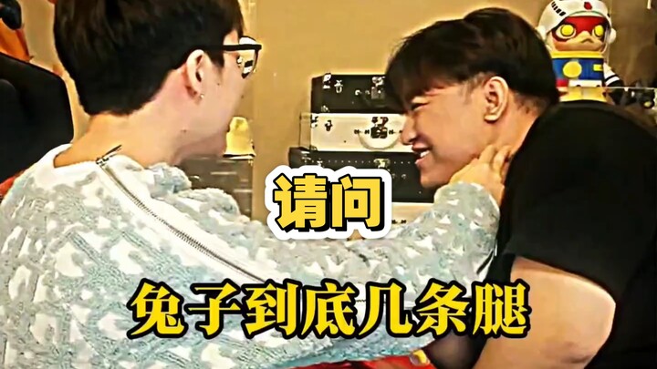 ขอถามหน่อยว่าแท้จริงแล้วกระต่ายมีกี่ขา?