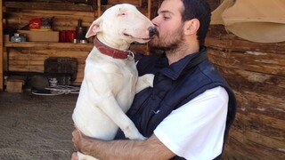 Peoples Who Didn’t Want The Dog But Ended Up Being Dog Obsessed - Cute Animal Show Love