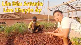 Anh đốt than lần đầu trồng củ cải Việt Nam||2Q Vlogs cuộc sống châu phi