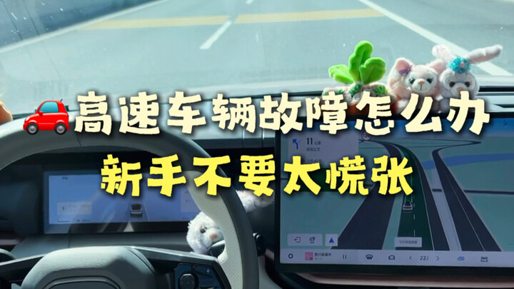 A bumpy highway journey home: a novice driver handles the entire accident process alone.