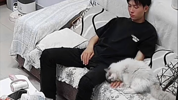 After a tiring day, you finally lie down at home, and your adorable cat comes to comfort you!