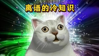 [Luo Tianyi] Singing science popularization, do you know who is the inventor of the inflatable doll?