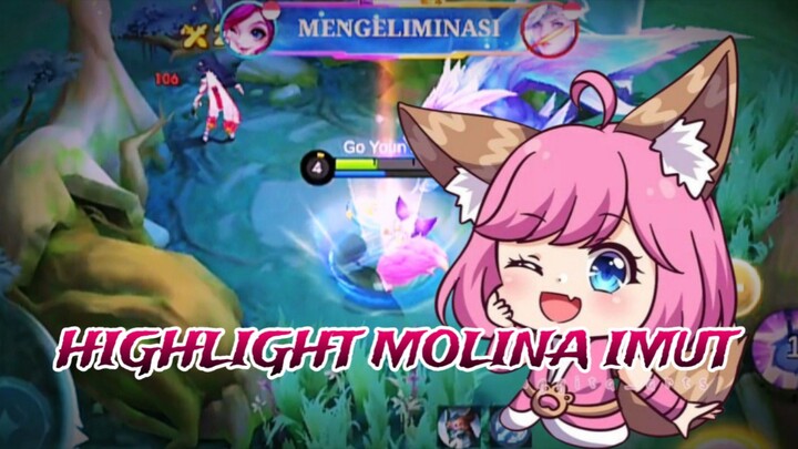 HIGHLIGHT MOLINA IMUT