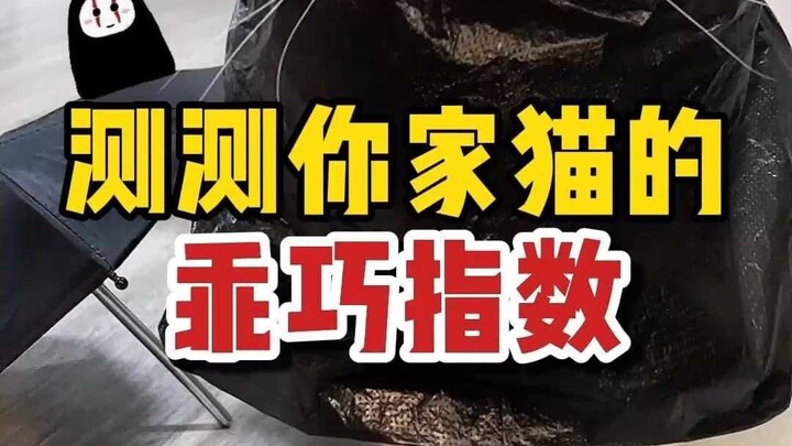 Is your cat easygoing or not? Take this quiz to find out!