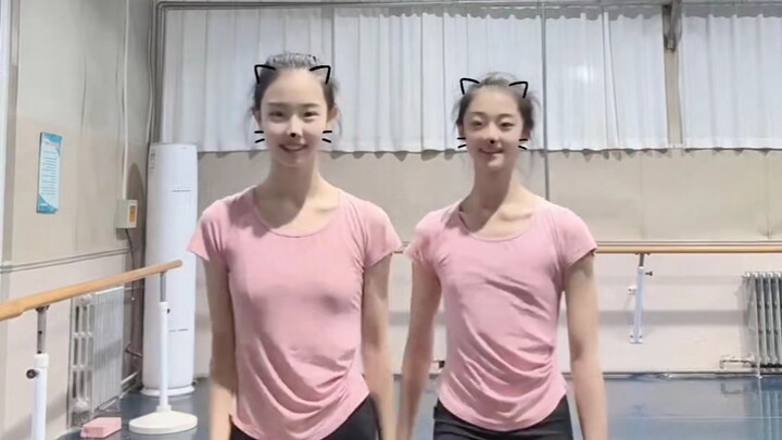 เต้นเล็กวัยเยาว์ 843