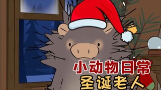 圣诞老人🎅🎄🎁-【小动物日常 | Natural Habitat Shorts】中英双字