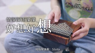 【拇指琴】《情深深雨濛濛》之《好想好想》书桓走的第一天，想他
