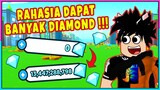 MAU BANYAK DIAMOND DI PET SIMULATOR X?? WAJIB TAU INI !!! - Roblox Indonesia