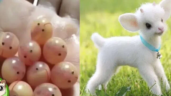 A 10-Minute Compilation of Cute Animals!