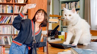 Sungguh mengagumkan bahawa seekor kucing sebenarnya boleh membayar bil!