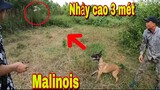 Thợ Săn Malinois Truy Đuổi Ổ Chim Rừng   Độc Lạ | Săn Bắt Ẩm Thực Vùng Cao | Đại 87