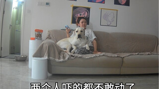 I'm not counting on Kangkang to protect me anymore...