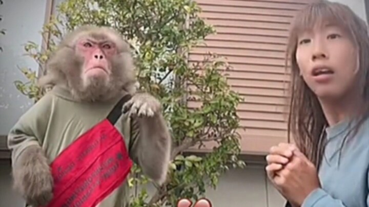 mister bombastic bomba fantastic