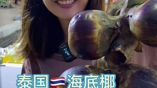 Pernahkah Anda makan kelapa laut Thailand?