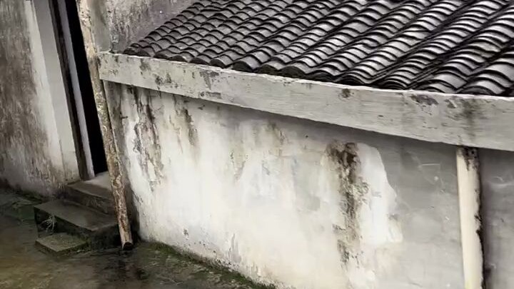 I really don’t have any ulterior motives; I just want you to be safe, honestly 🥺🥺 (with a sincere lo