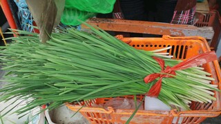 Giant Scallion Pancake/ Chinese Flat Bread