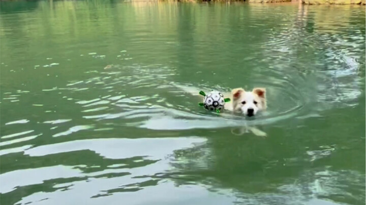 I'm being watched again!