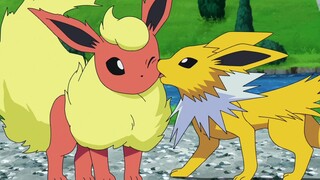 Pokémon丨Kudengar sebagian besar peri cantik Eevee adalah laki-laki~~~