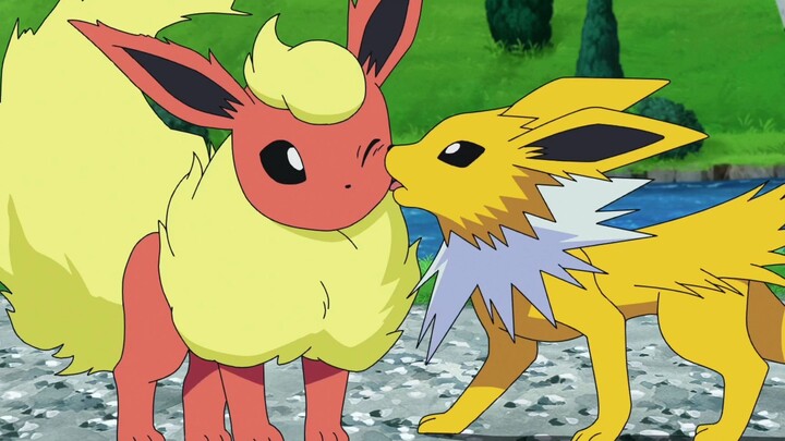 Pokémon 丨 I heard that most of the beautiful fairy Eevee are boys~~~